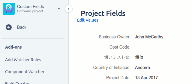 Custom Fields screenshot